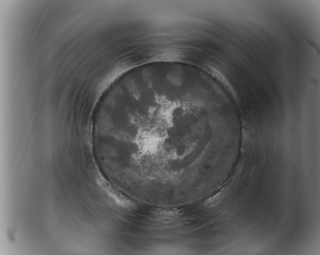 X0000100231035200806061404