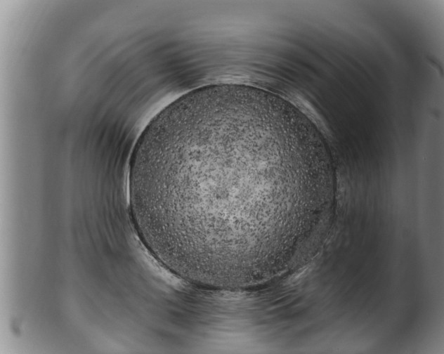 X0000100231036200806061404