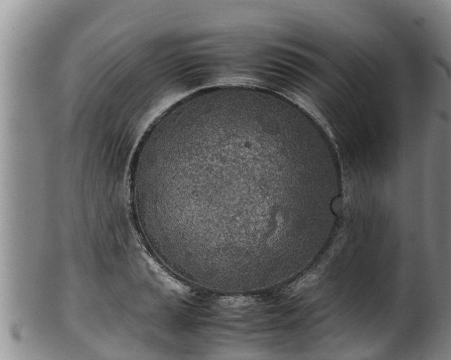 X0000100231037200806061404