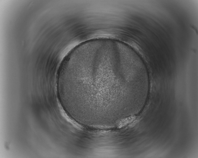 X0000100231038200806061404