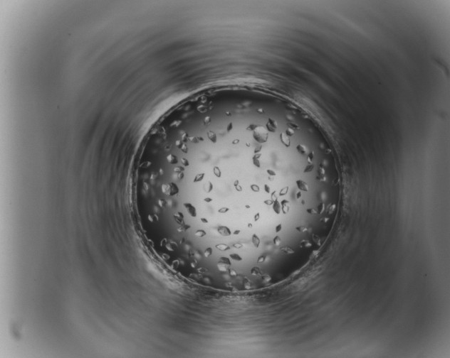 X0000100231044200806061404