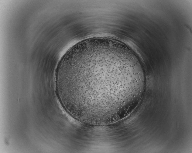 X0000100231046200806061404
