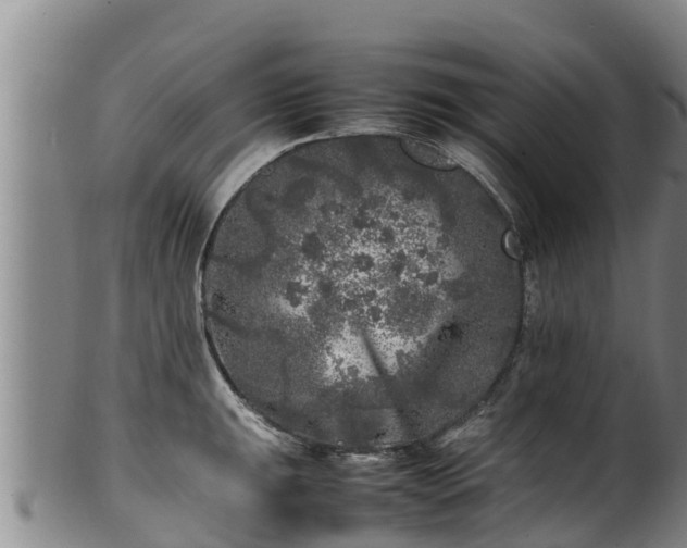 X0000100231047200806061404