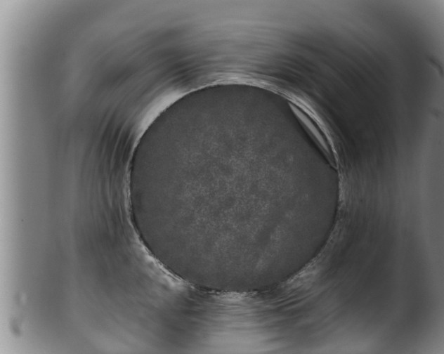 X0000100231048200806061404