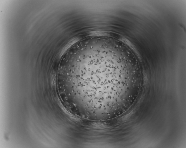 X0000100231049200806061404