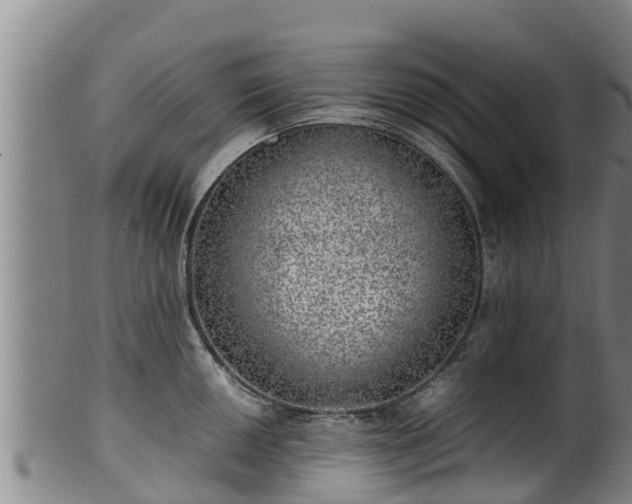 X0000100231050200806061404