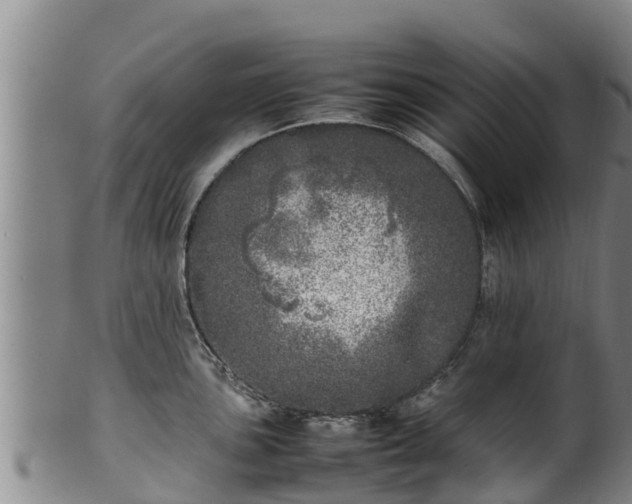 X0000100231051200806061404