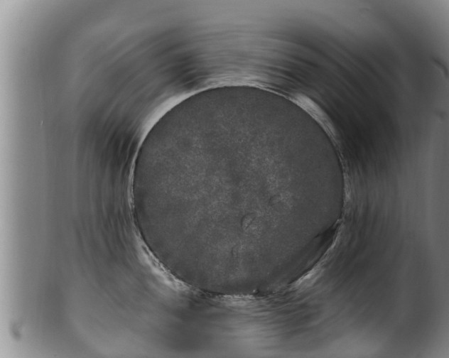 X0000100231052200806061404