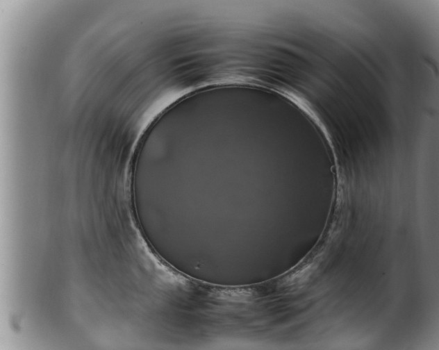 X0000100231053200806061404