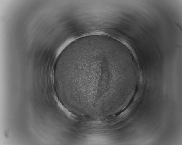 X0000100231054200806061404