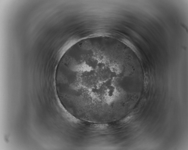 X0000100231055200806061404