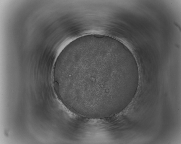 X0000100231056200806061404