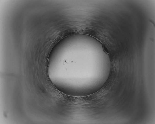 X0000100231057200806061404