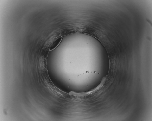 X0000100231058200806061404