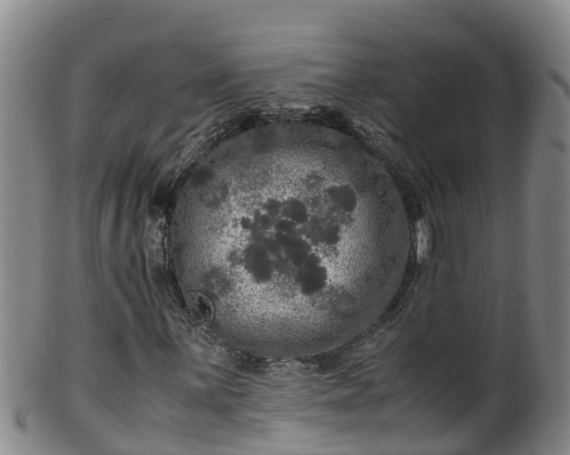 X0000100231059200806061404