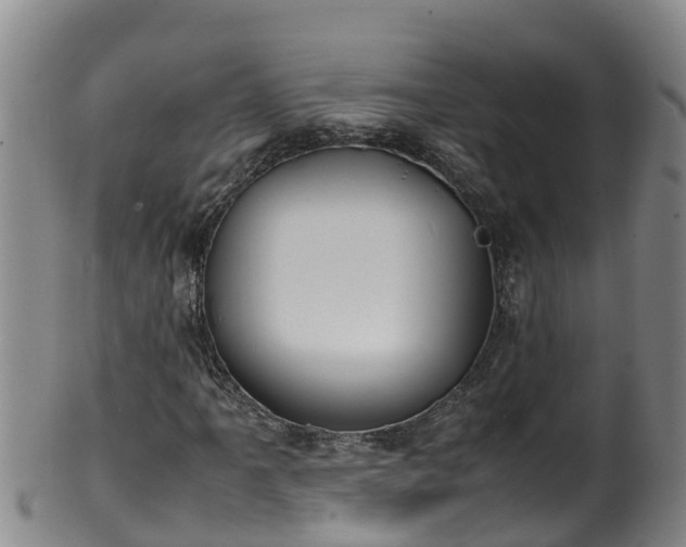 X0000100231061200806061404