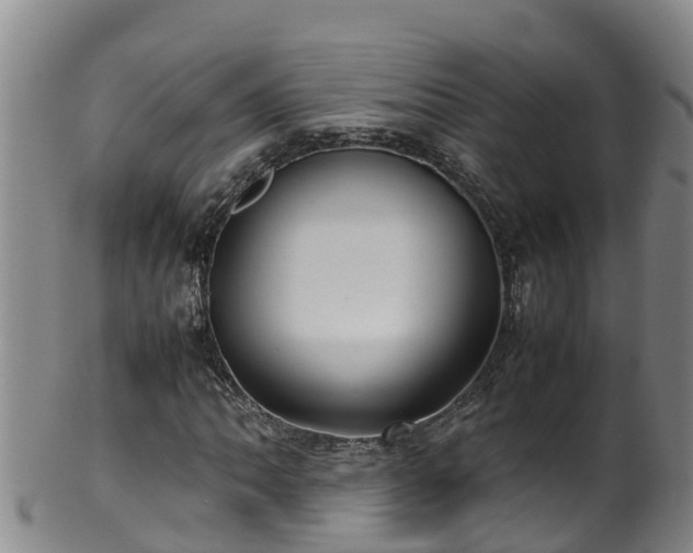 X0000100231062200806061403