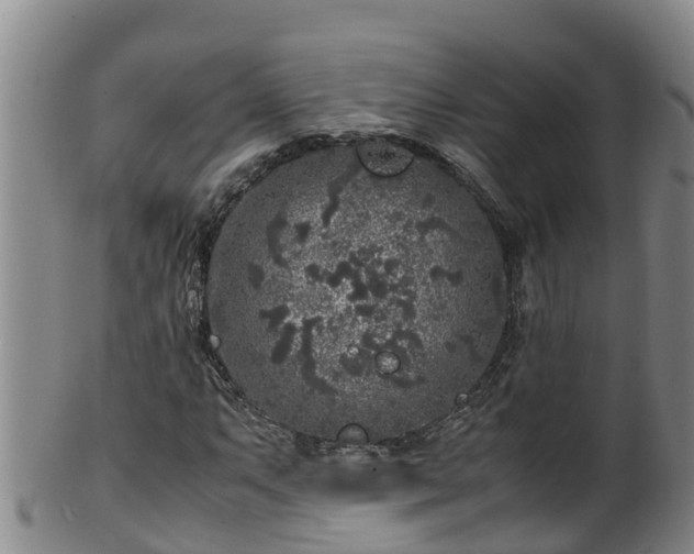 X0000100231063200806061403