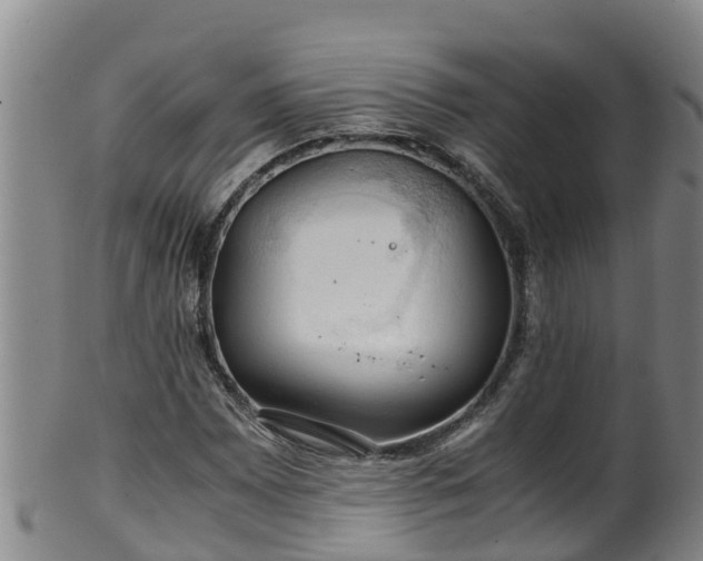 X0000100231065200806061403