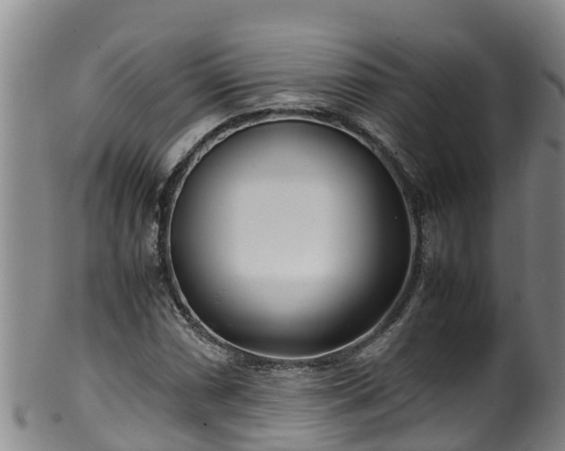 X0000100231066200806061403