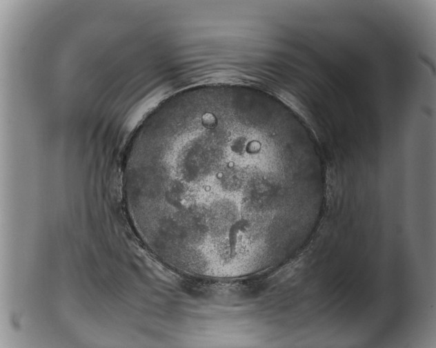 X0000100231067200806061403