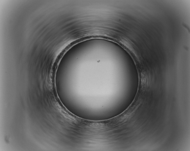 X0000100231068200806061403