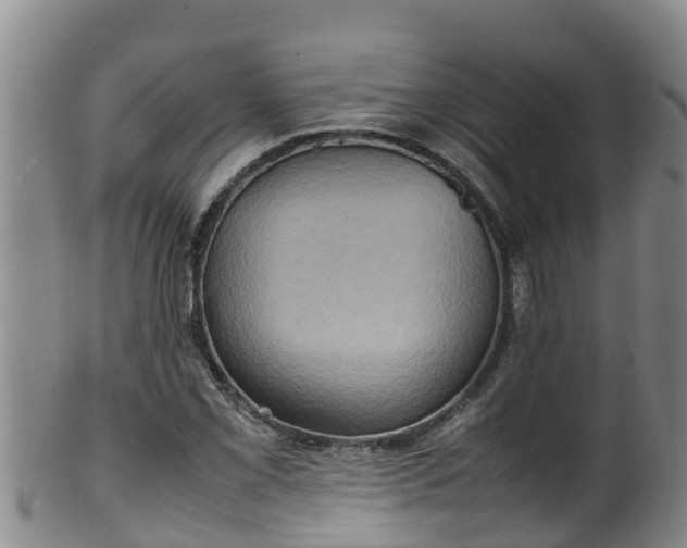 X0000100231069200806061403