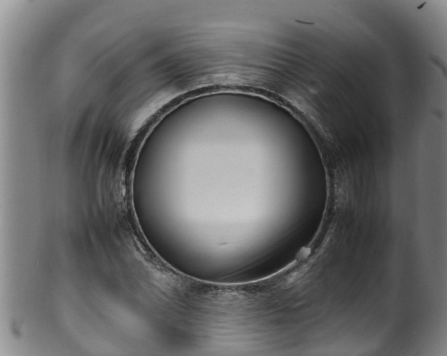 X0000100231070200806061403