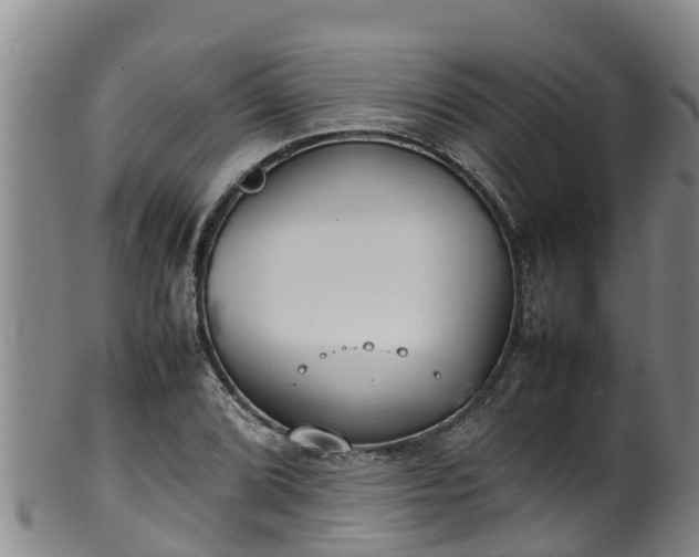 X0000100231072200806061403