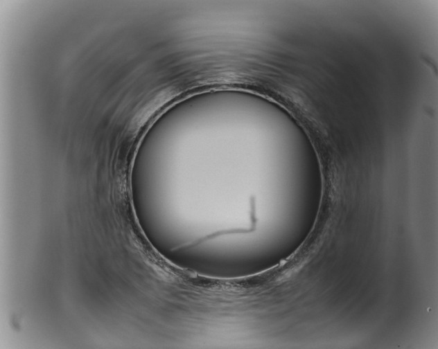 X0000100231073200806061403