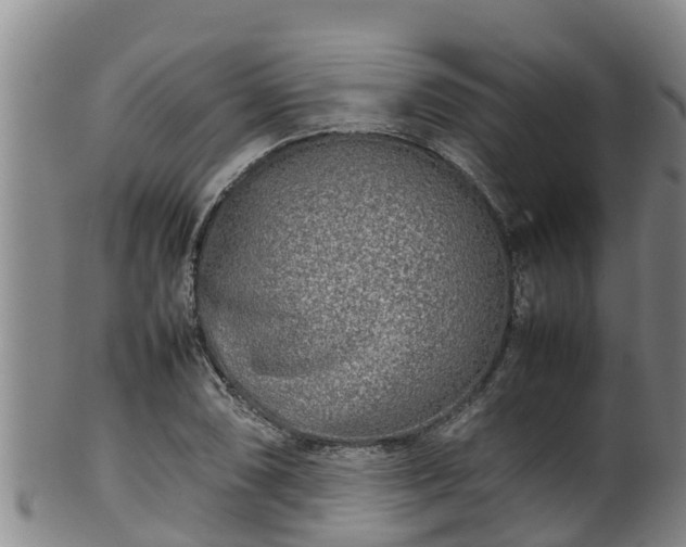 X0000100231074200806061403