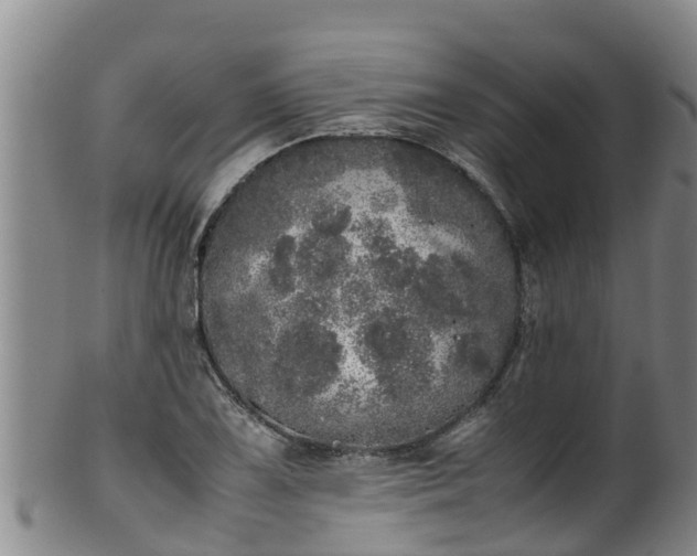 X0000100231075200806061403