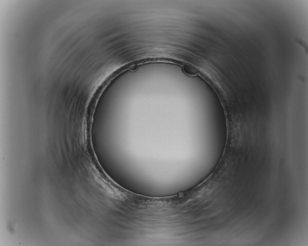 X0000100231076200806061403