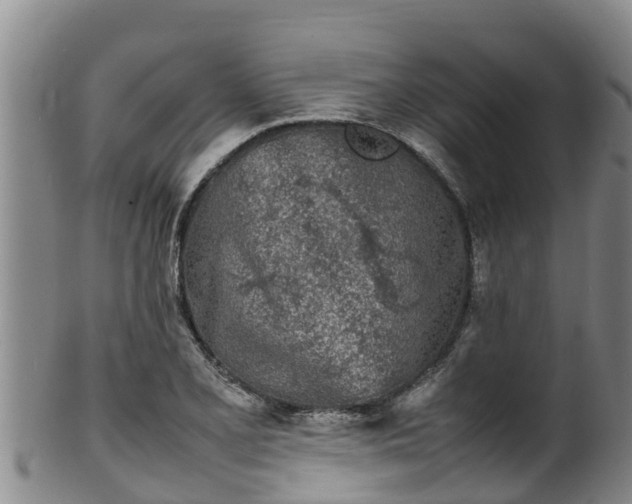 X0000100231077200806061403