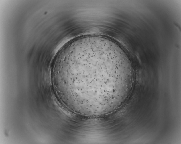 X0000100231078200806061403