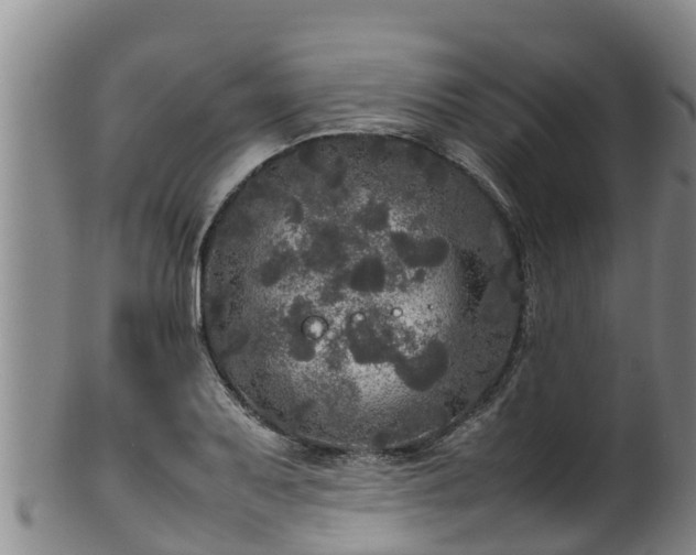 X0000100231079200806061403