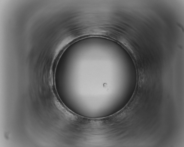 X0000100231080200806061403