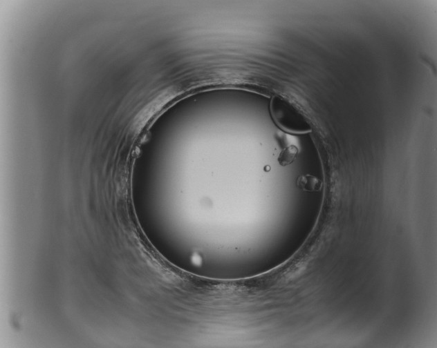 X0000100231081200806061403