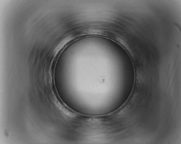 X0000100231082200806061403