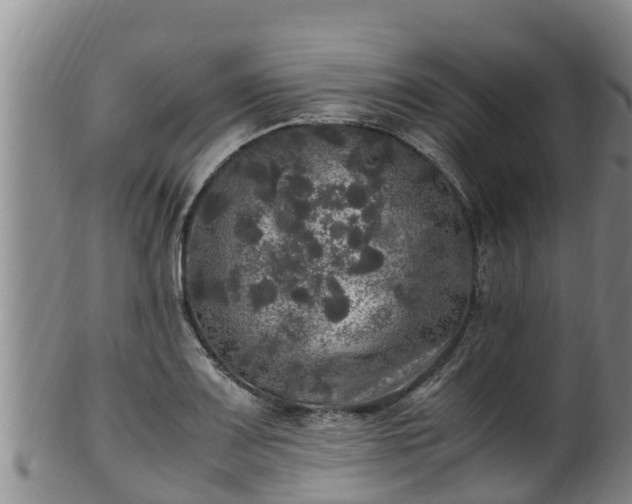 X0000100231083200806061403