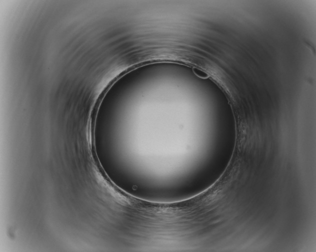 X0000100231084200806061403