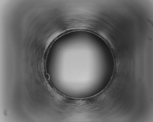 X0000100231085200806061403