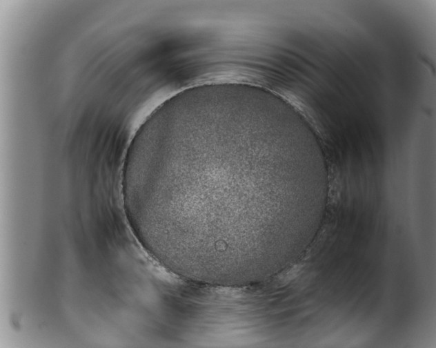 X0000100231086200806061403