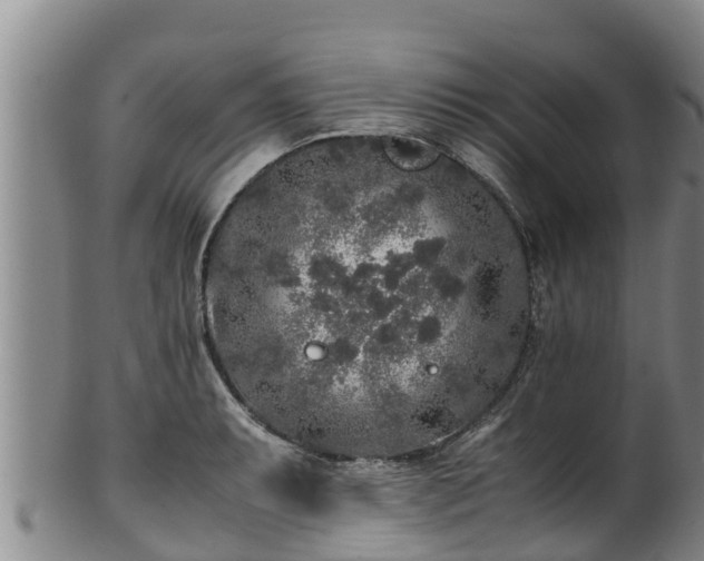 X0000100231087200806061403