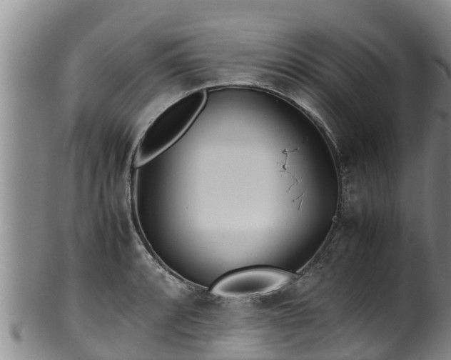 X0000100231088200806061403