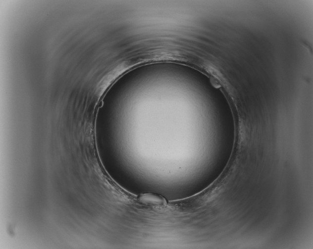 X0000100231089200806061403