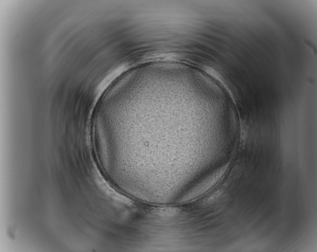 X0000100231090200806061403