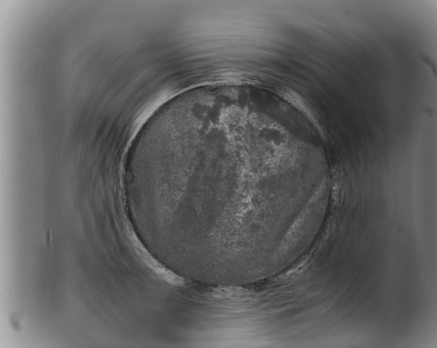 X0000100231091200806061403