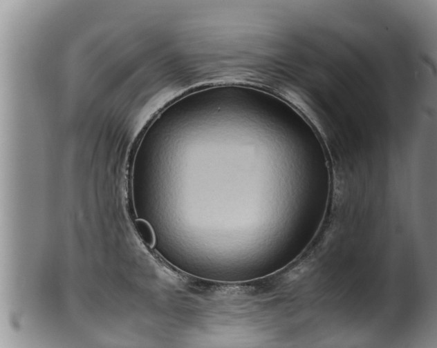 X0000100231093200806061403