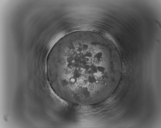 X0000100231095200806061403